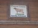 The Family Kroenauer breeds Braunvieh cattle